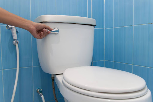 A hand flushing a toilet.